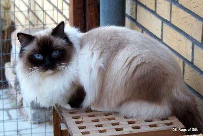 Bonifacy 1Â½ Ã¥r