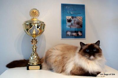 Bonifacy 1Â½ Ã¥r